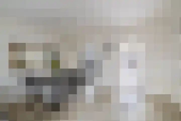 Gentiaanstraat 4 Gouda thumbnail 8