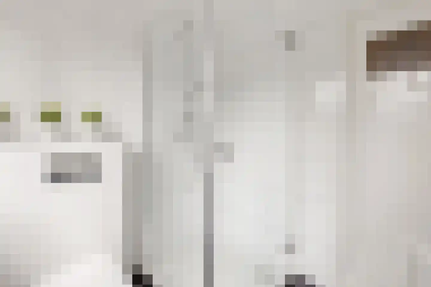 Gentiaanstraat 41 Bussum thumbnail 21