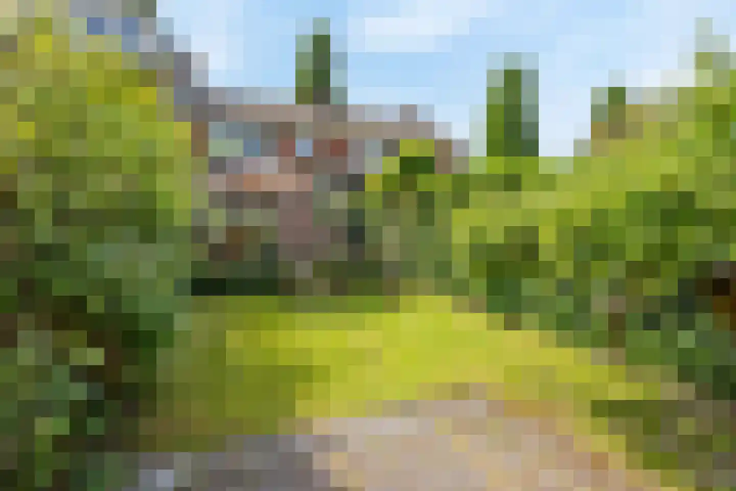 Gentiaanstraat 41 Bussum thumbnail 26