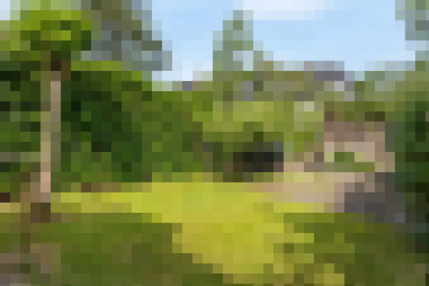 Gentiaanstraat 41 Bussum thumbnail 28