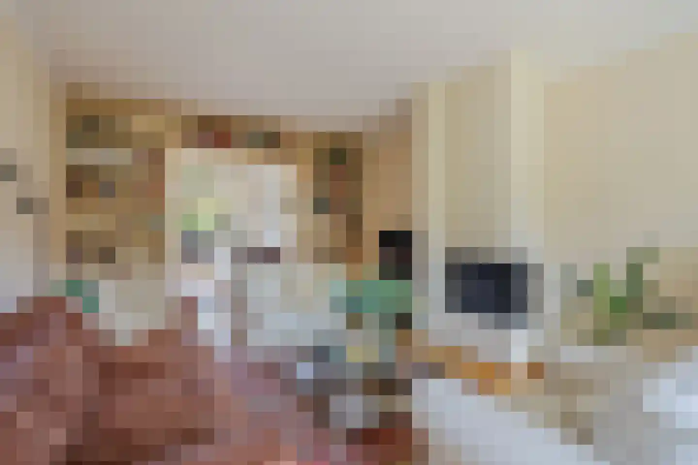 Gentiaanstraat 41 Bussum thumbnail 6