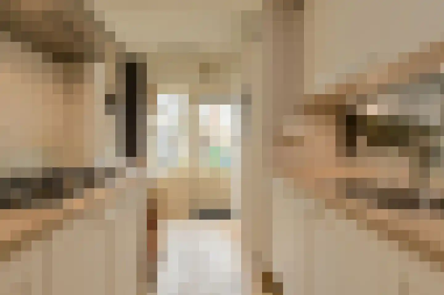 Gentiaanstraat 5 Oosterhout thumbnail 13