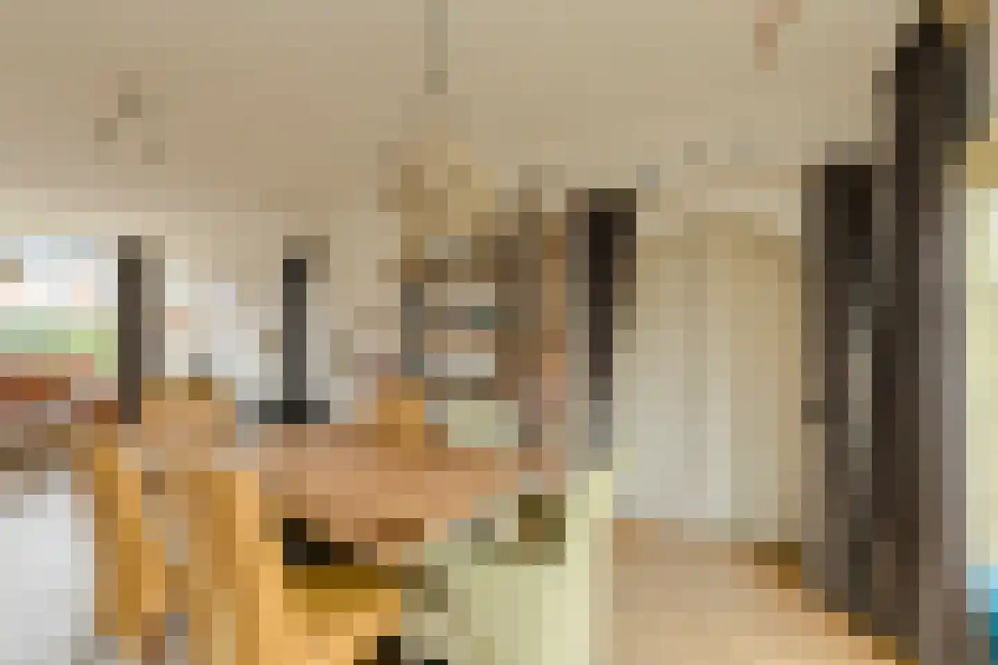 Gentiaanstraat 5 Oosterhout thumbnail 15