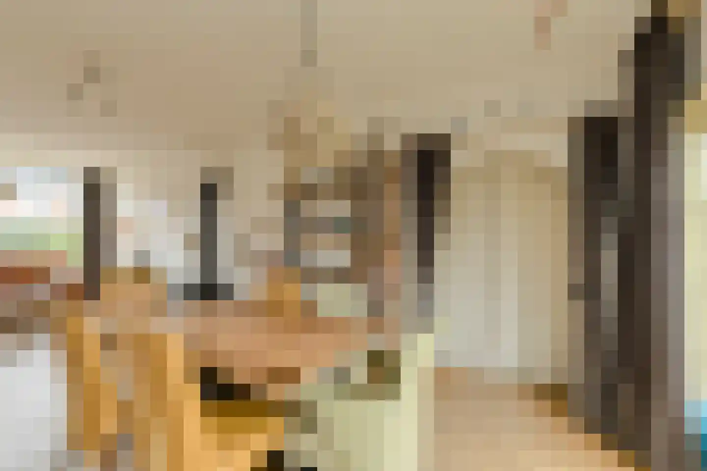 Gentiaanstraat 5 Oosterhout thumbnail 15