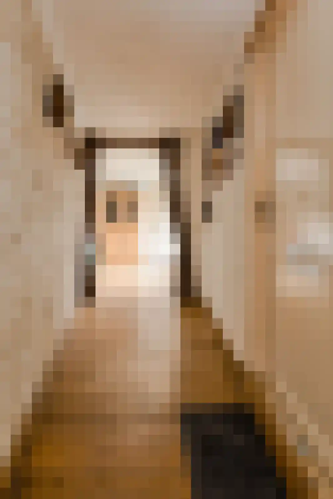 Gentiaanstraat 5 Oosterhout thumbnail 17