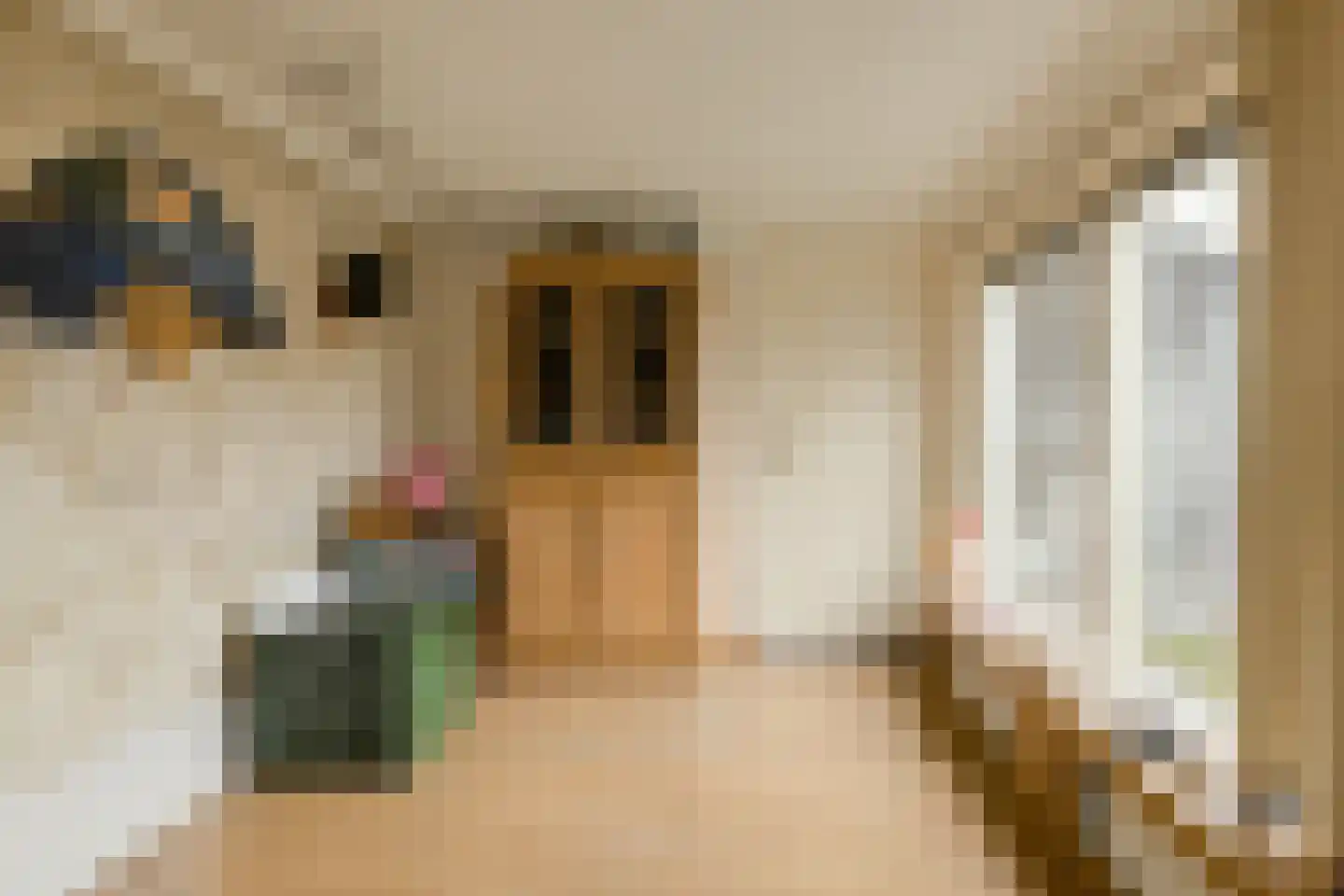 Gentiaanstraat 5 Oosterhout thumbnail 18