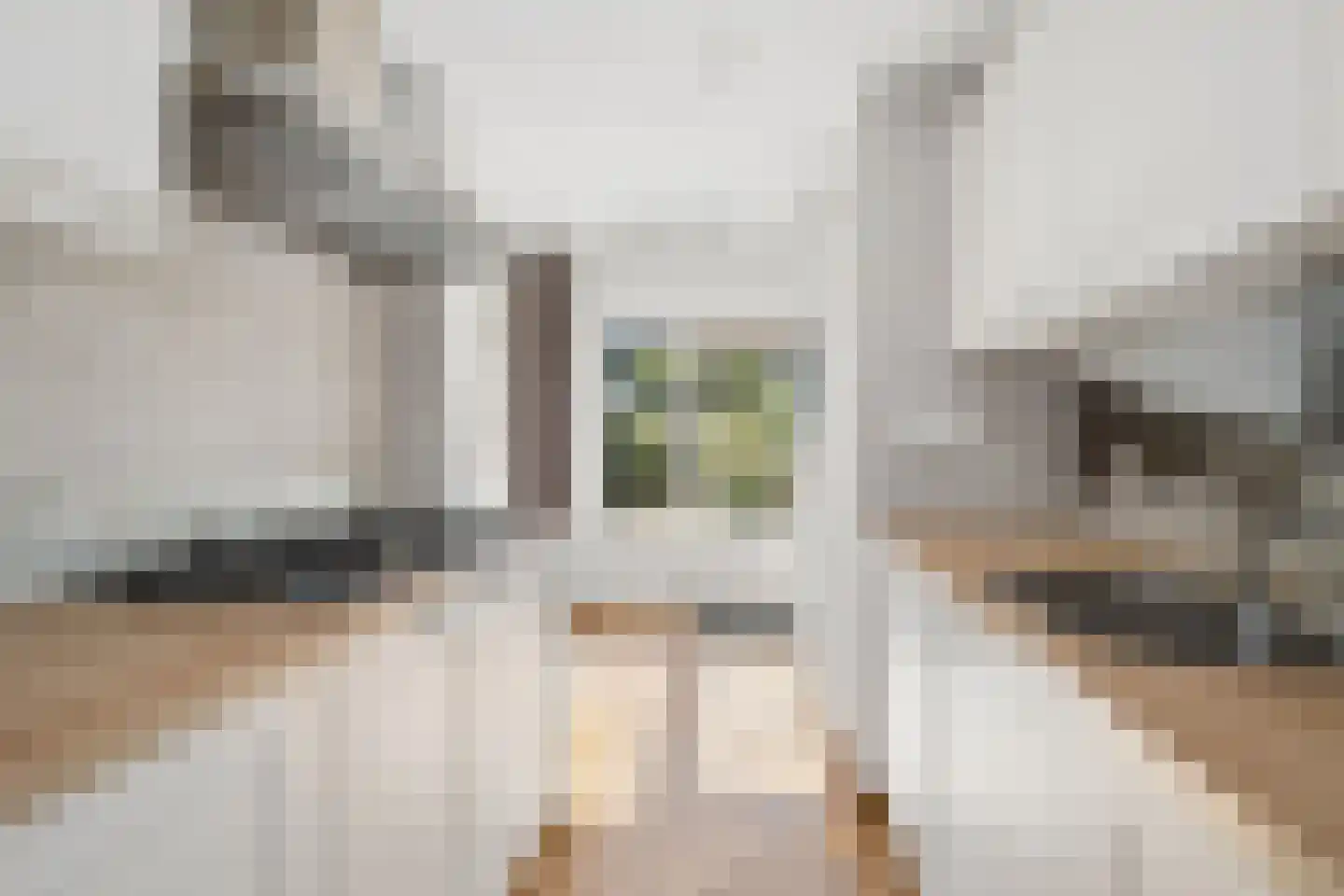 Gentiaanstraat 5 Oosterhout thumbnail 18