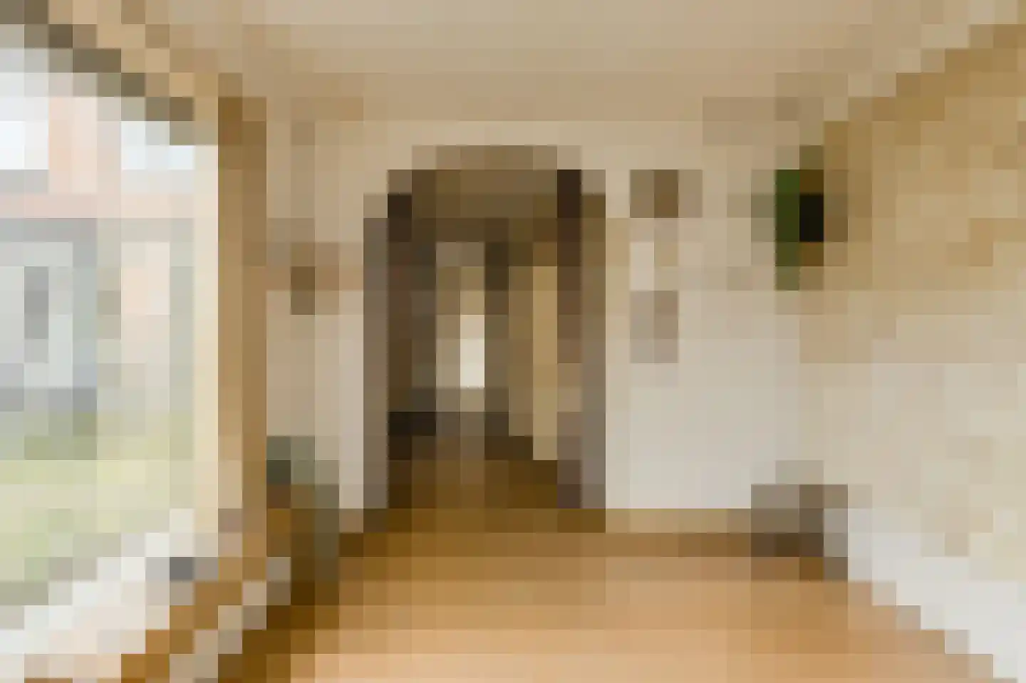 Gentiaanstraat 5 Oosterhout thumbnail 19