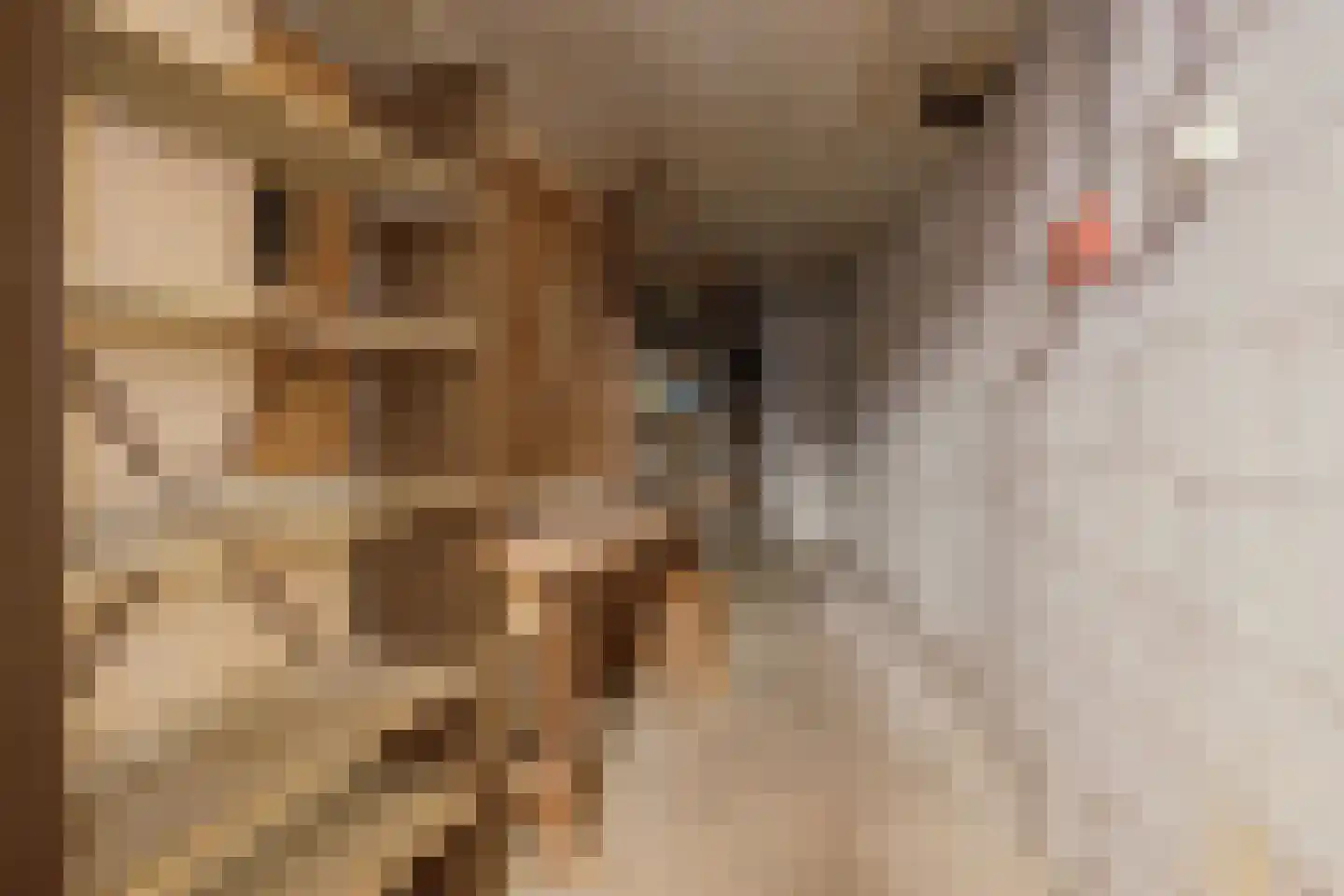 Gentiaanstraat 5 Oosterhout thumbnail 22