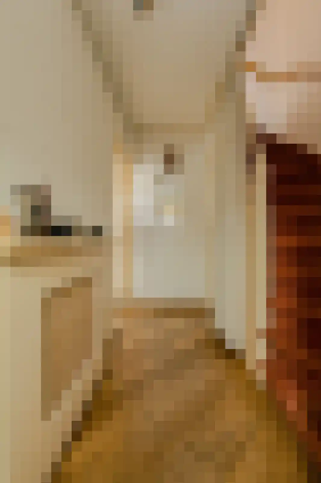 Gentiaanstraat 5 Oosterhout thumbnail 22