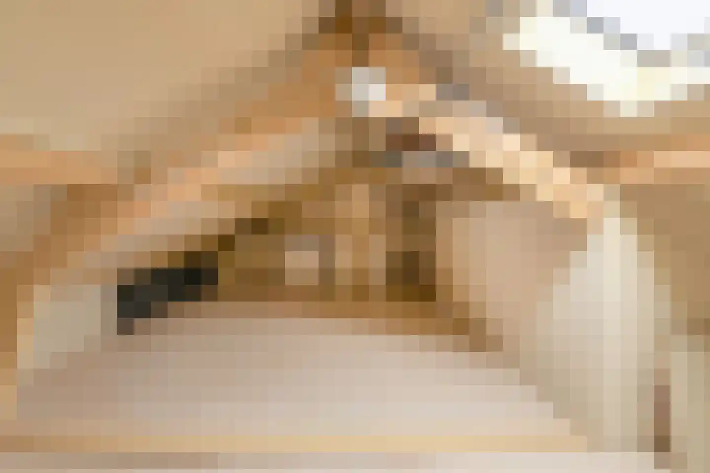 Gentiaanstraat 5 Oosterhout thumbnail 33