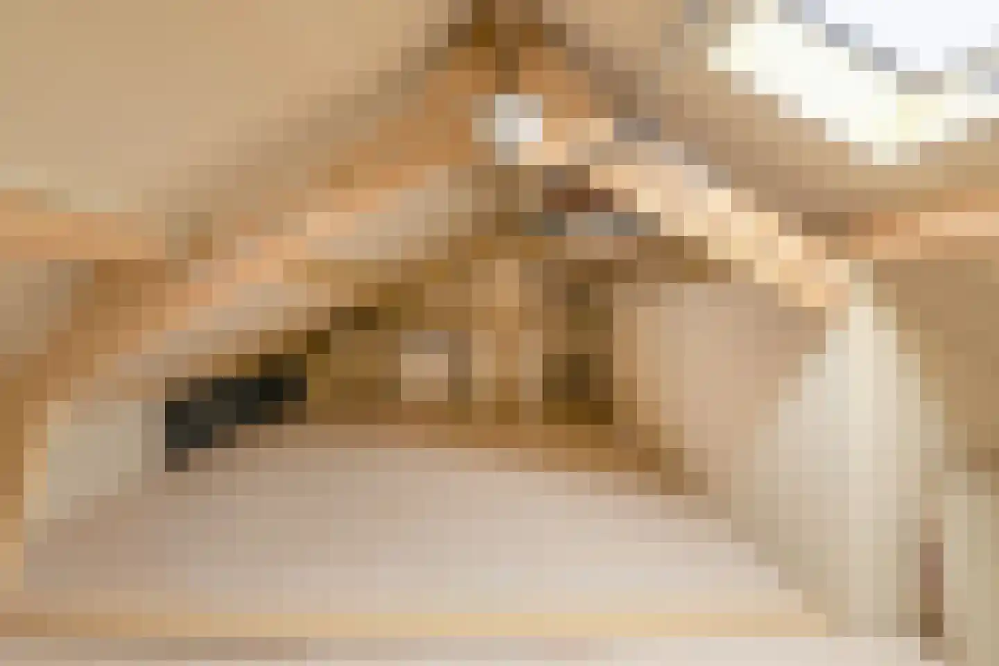 Gentiaanstraat 5 Oosterhout thumbnail 33