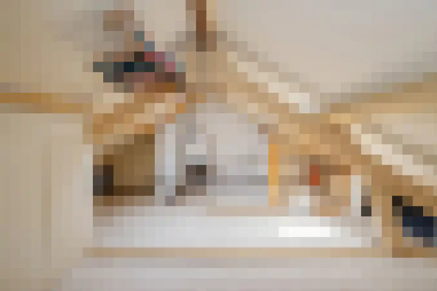 Gentiaanstraat 5 Oosterhout thumbnail 38