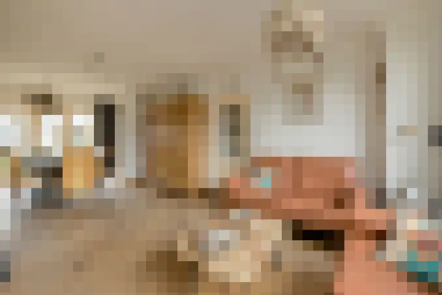 Gentiaanstraat 5 Oosterhout thumbnail 6