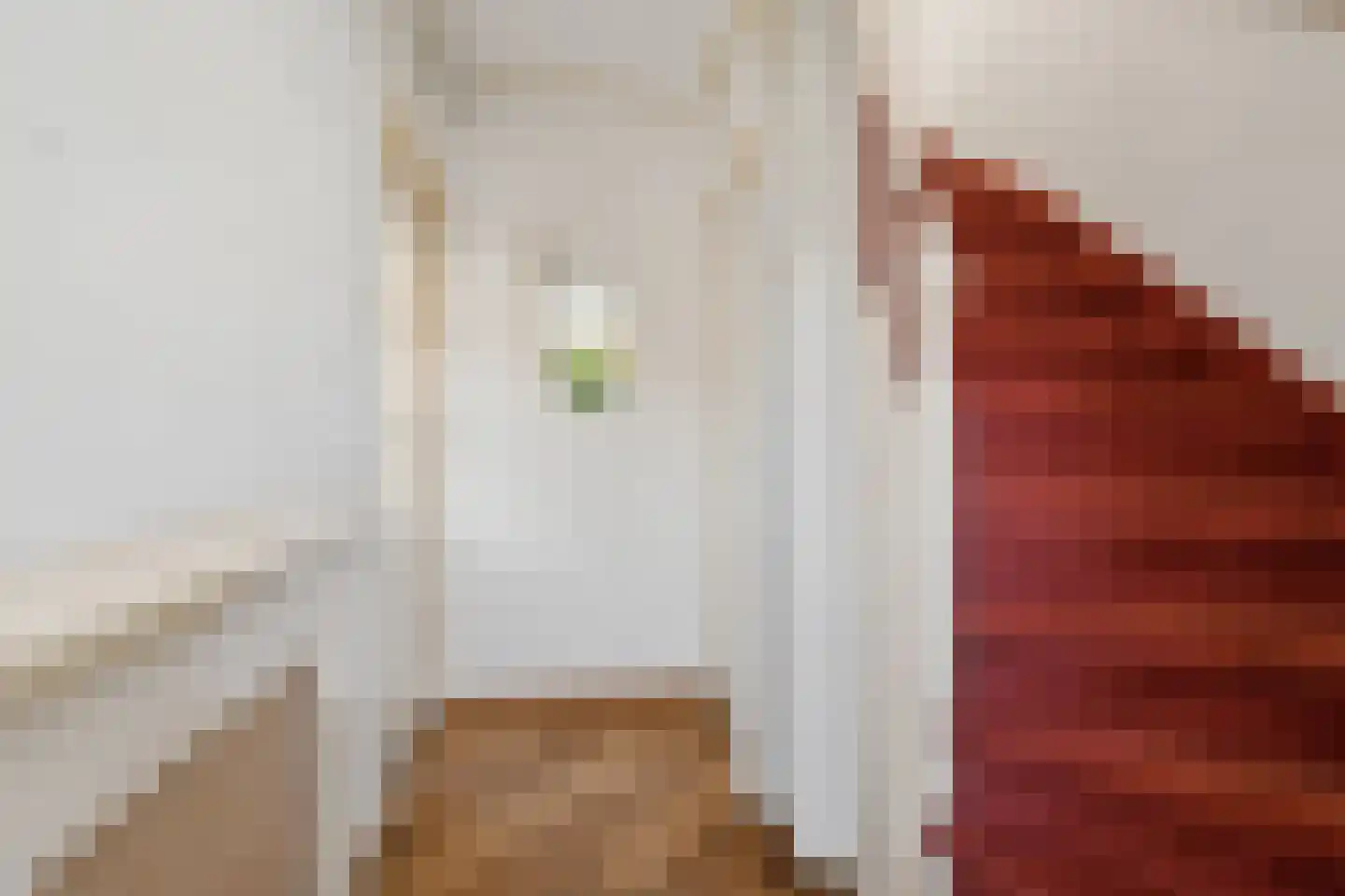 Gentiaanstraat 5 Oosterhout thumbnail 6