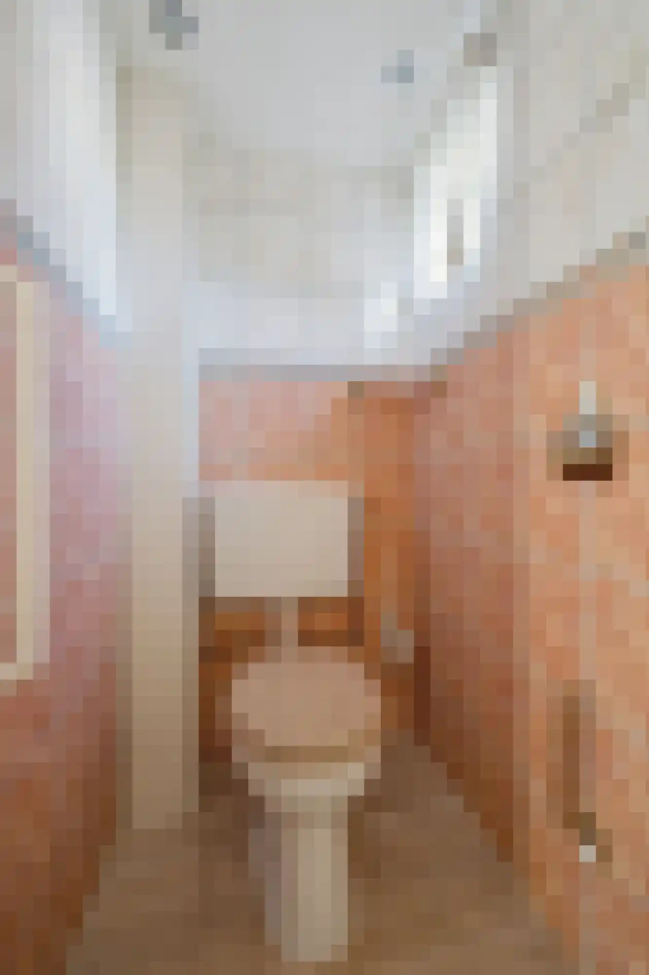 Gentiaanstraat 5 Oosterhout thumbnail 7