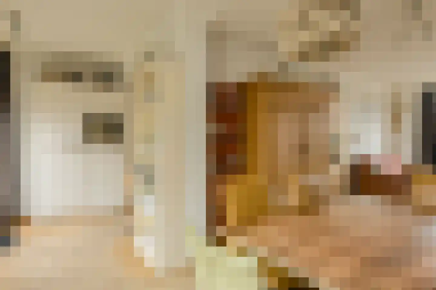 Gentiaanstraat 5 Oosterhout thumbnail 9