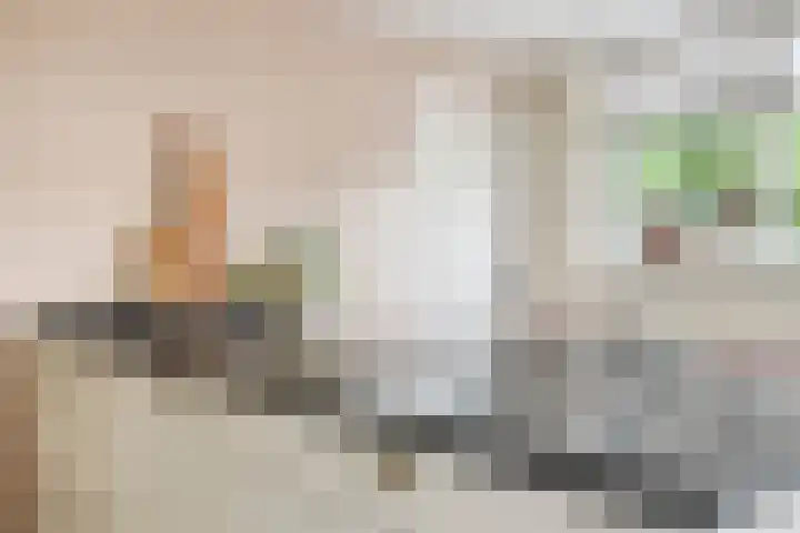Gentiaanstraat 54 Bussum thumbnail 13