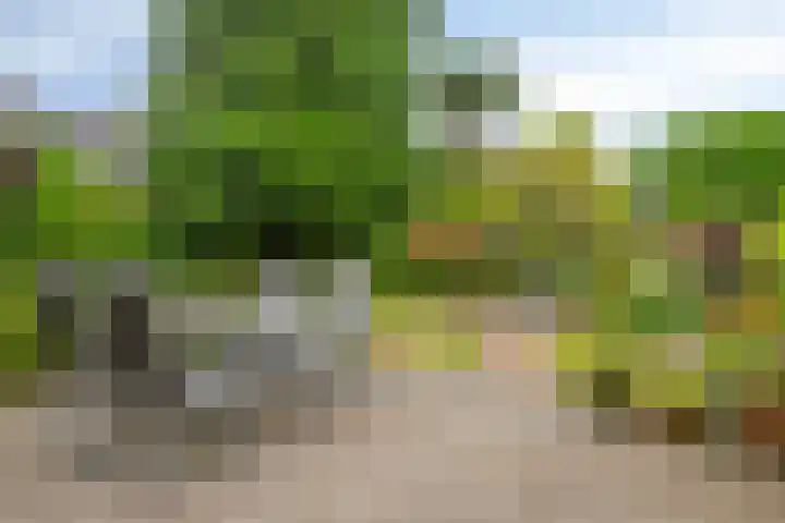 Gentiaanstraat 54 Bussum thumbnail 28