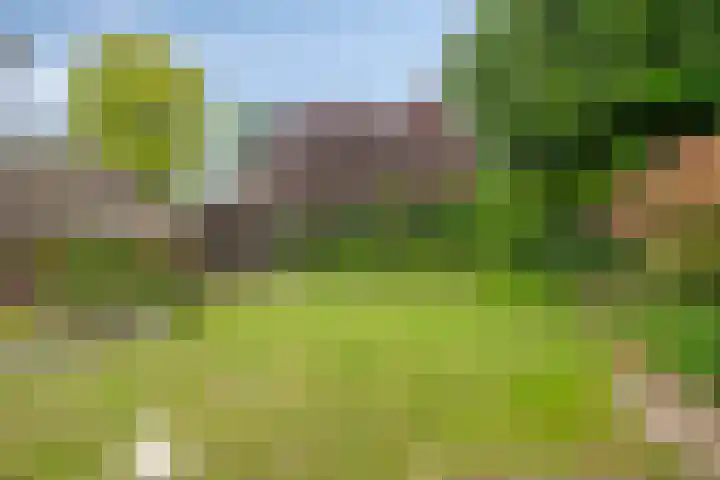 Gentiaanstraat 54 Bussum thumbnail 29
