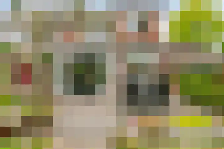 Gentiaanstraat 54 Bussum thumbnail 31