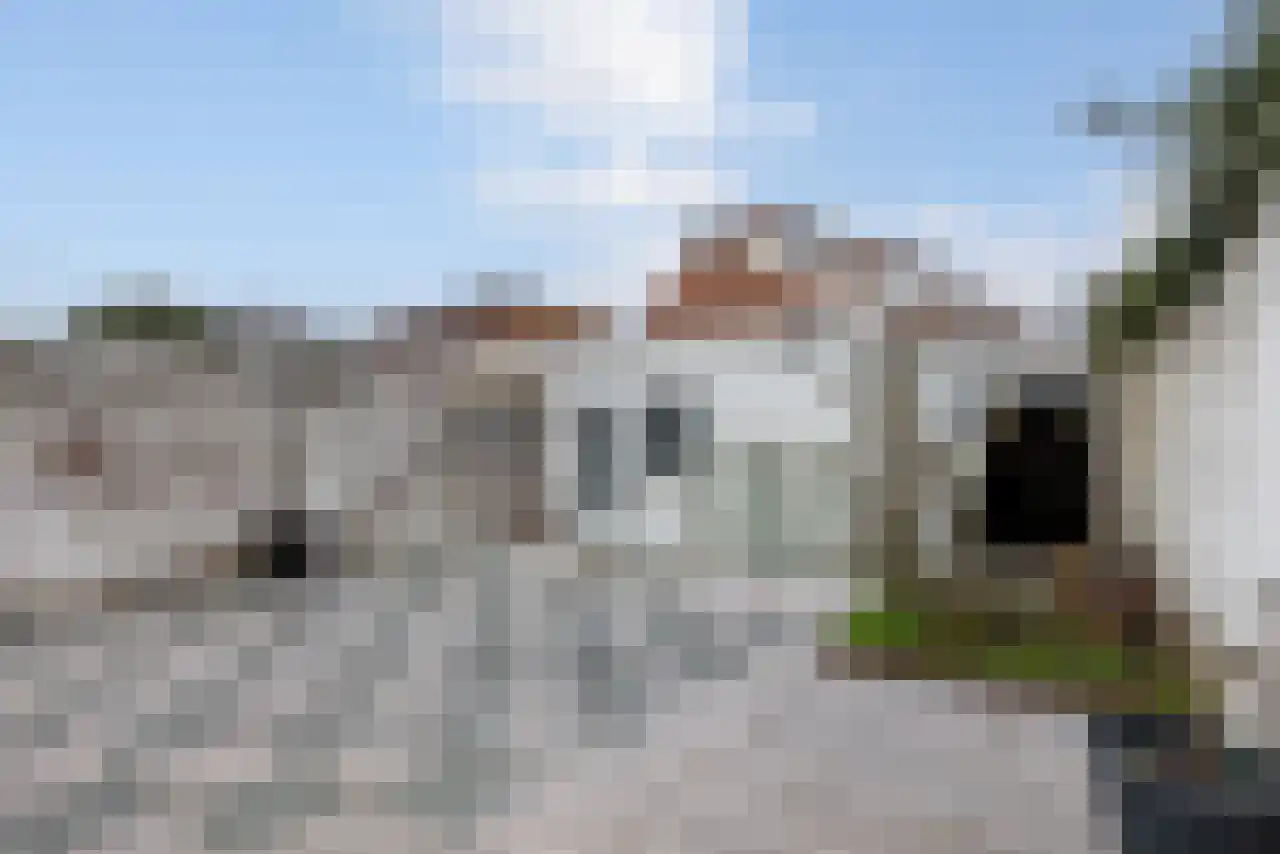 Gentiaanstraat 6 Bergen op Zoom thumbnail 29