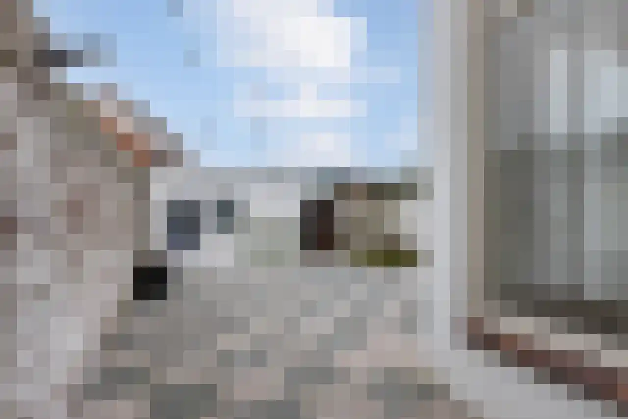 Gentiaanstraat 6 Bergen op Zoom thumbnail 31