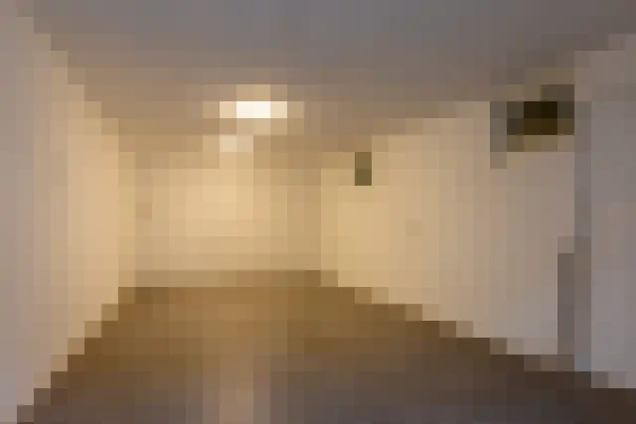 Gentiaanstraat 6 Bergen op Zoom thumbnail 36