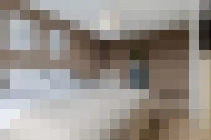 Gentiaanstraat 9 Groningen thumbnail 16