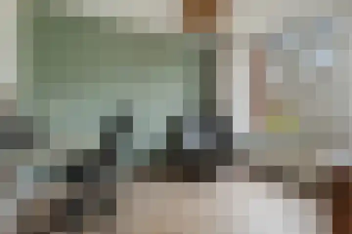 Gentiaanstraat 9 Groningen thumbnail 18