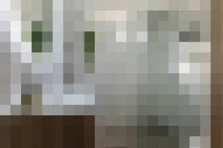 Gentiaanstraat 9 Groningen thumbnail 19