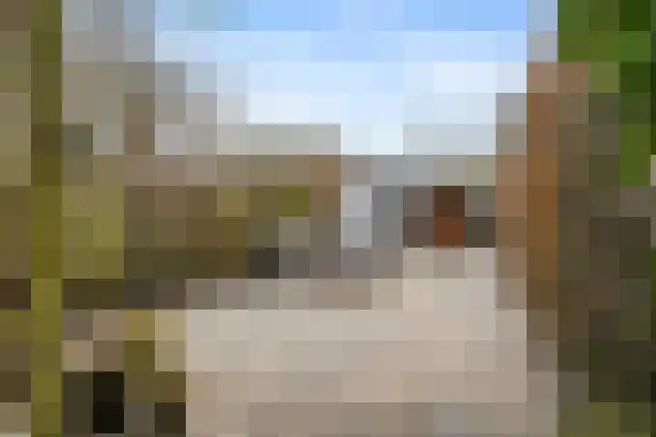 Gentiaanstraat 9 Groningen thumbnail 28