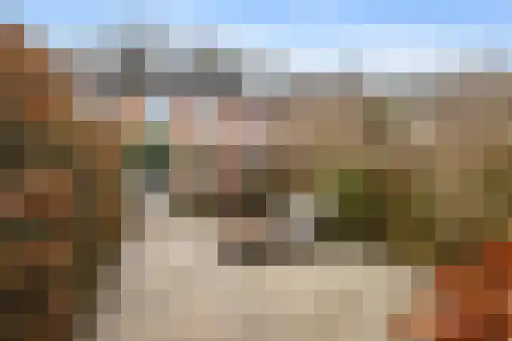 Gentiaanstraat 9 Groningen thumbnail 29