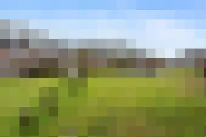 Gentiaanstraat 9 Groningen thumbnail 30
