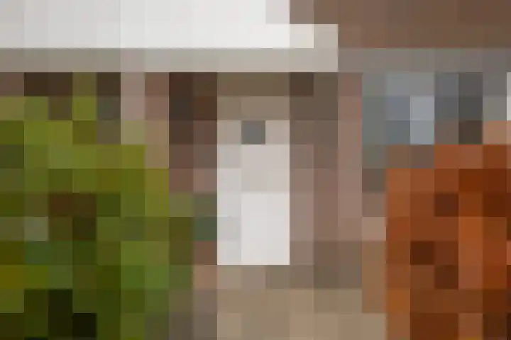 Gentiaanstraat 9 Groningen thumbnail 31