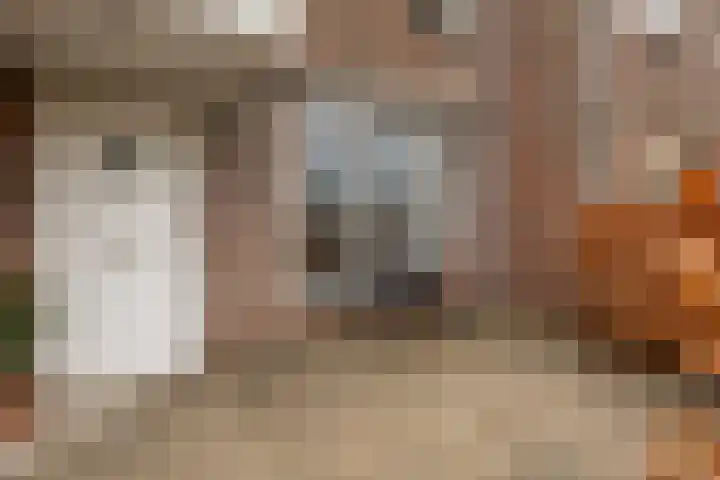 Gentiaanstraat 9 Groningen thumbnail 32