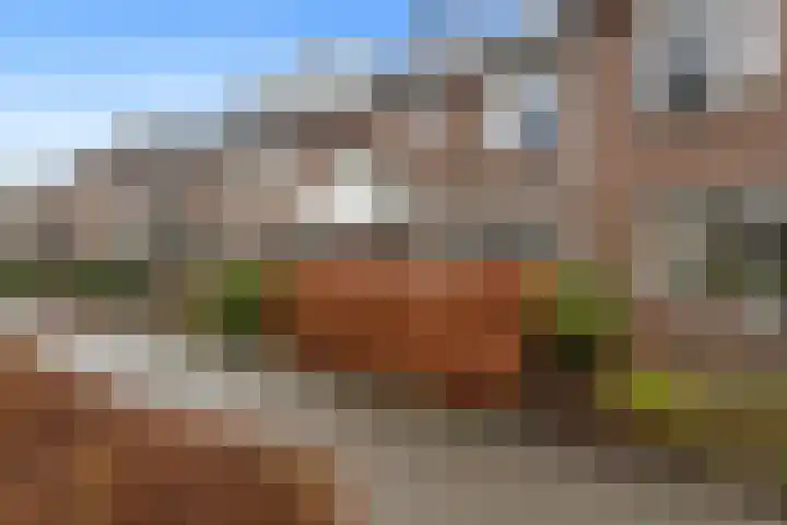 Gentiaanstraat 9 Groningen thumbnail 33