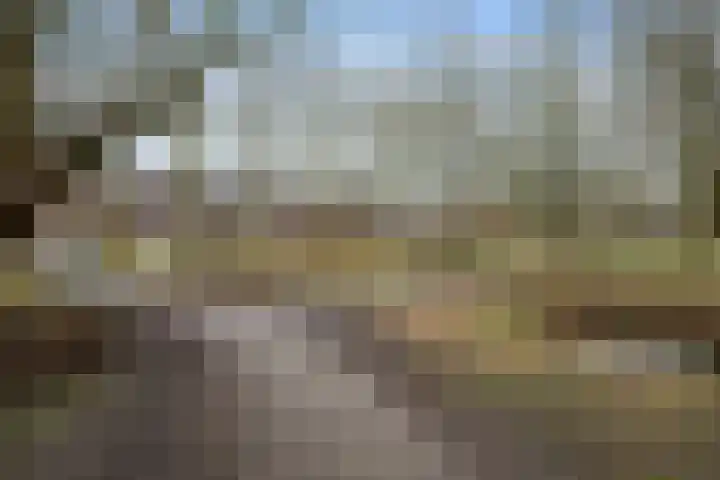 Gentiaanstraat 9 Groningen thumbnail 34