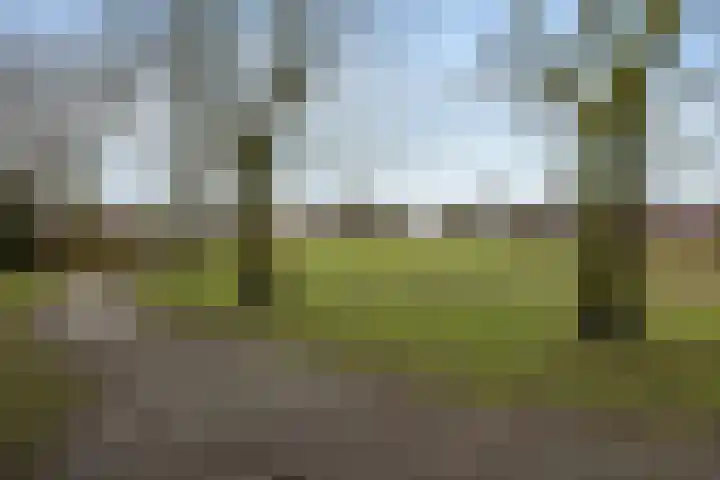 Gentiaanstraat 9 Groningen thumbnail 35