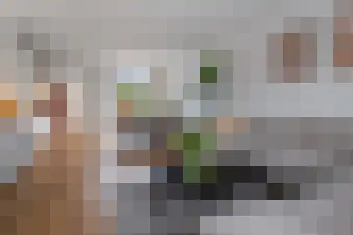 Gentiaanstraat 9 Groningen thumbnail 8