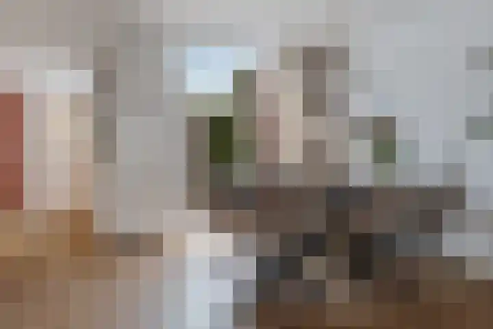 Gentiaanstraat 9 Groningen thumbnail 9