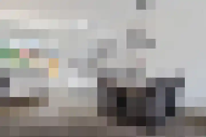 Gentiaanvaart 17 Zoetermeer thumbnail 11
