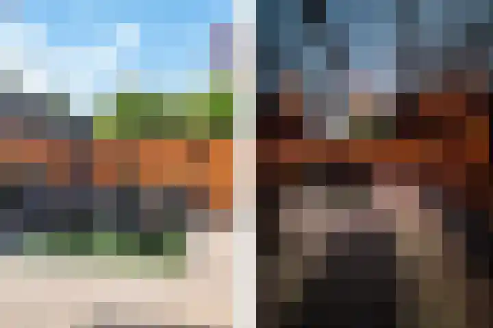 Gentiaanvaart 17 Zoetermeer thumbnail 21