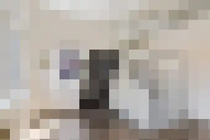 Gentiaanvaart 17 Zoetermeer thumbnail 28