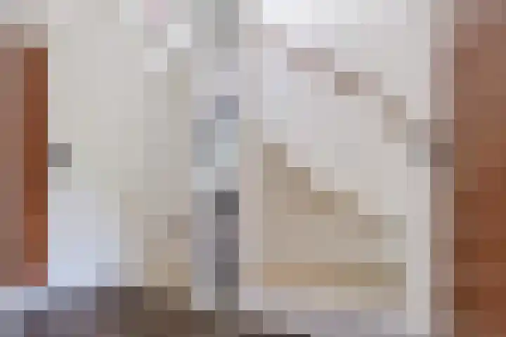Gentiaanvaart 17 Zoetermeer thumbnail 34
