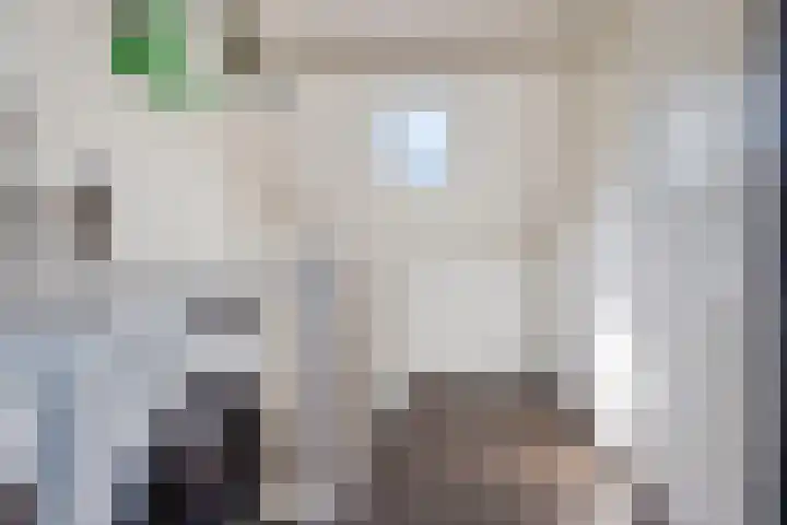 Gentiaanvaart 17 Zoetermeer thumbnail 35