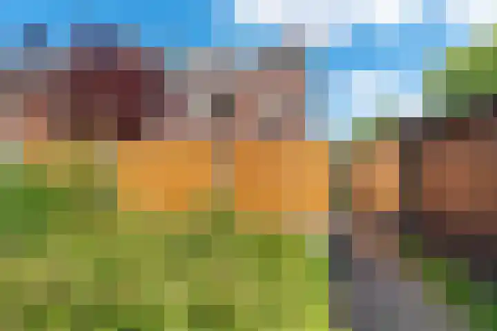Gentiaanvaart 17 Zoetermeer thumbnail 41