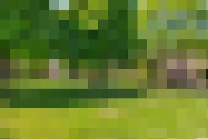Gentiaanvaart 17 Zoetermeer thumbnail 42