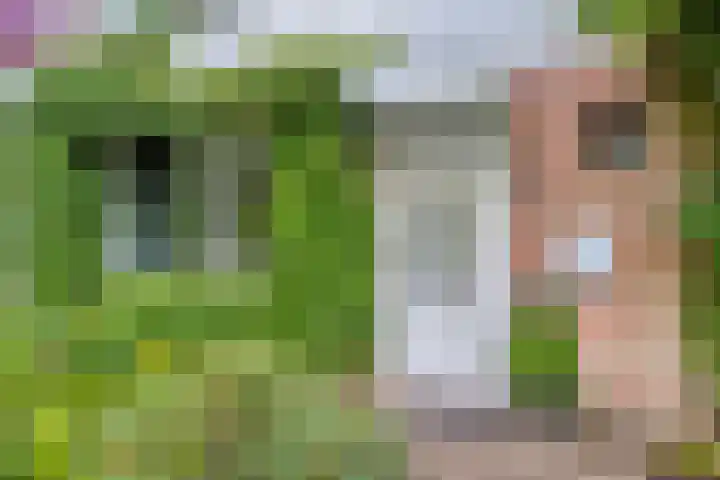 Gentiaanweg 12 Haren Gn thumbnail 10