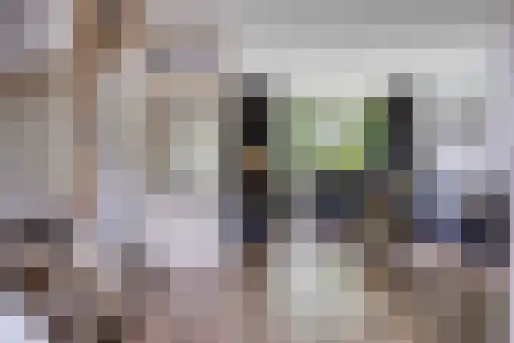 Gentiaanweg 12 Haren Gn thumbnail 14